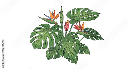 Tropical Monstera Leaves and Bird of Paradise Flowers Illustration