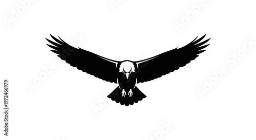 Black silhouette of an eagle flying.