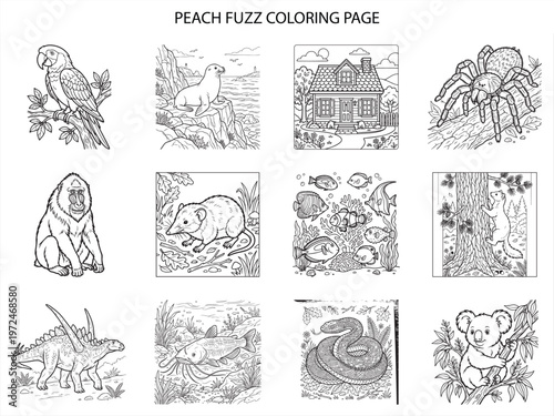 Peach fuzz coloring page collection featuring twelve diverse animal illustrations including parrot seal house spider and snake