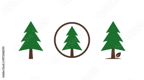 Three Stylized Evergreen Trees with Forest Elements and Circle Icon
