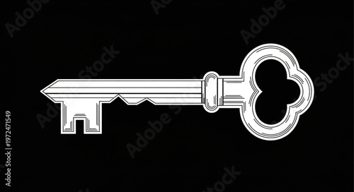 Vintage Metal Skeleton Key.