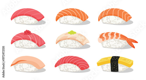 Set of Various Nigiri Sushi Pieces Isolated on White Background