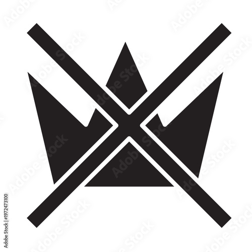 No Kings Protest Image