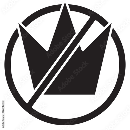 No Kings Protest Image