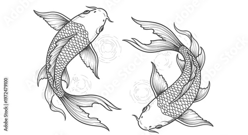 Detailed black and white illustration of two graceful koi fish swimming in a circular pattern with water ripples on an isolated white background.