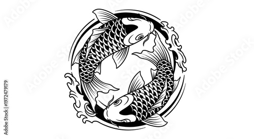 Two black and white koi fish forming a circular Ying Yang symbol with water elements, representing harmony and balance on an isolated white background.