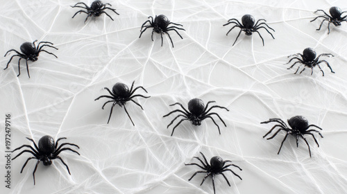 Spooky spider gathering indoor setting macro photography artistic display close-up perspective halloween theme