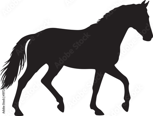 Принти на полотні Dutch Warmblood in silhouette on white background.