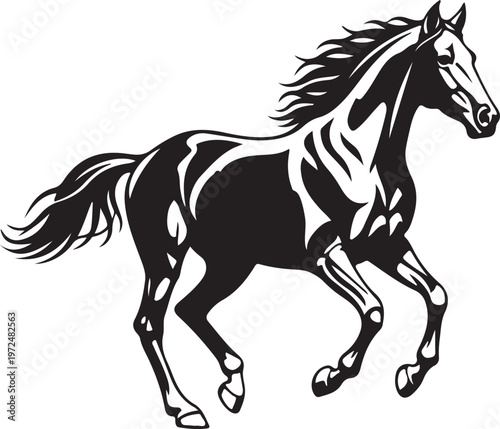 Bild auf Leinwand Marwari Horse in silhouette on white background.