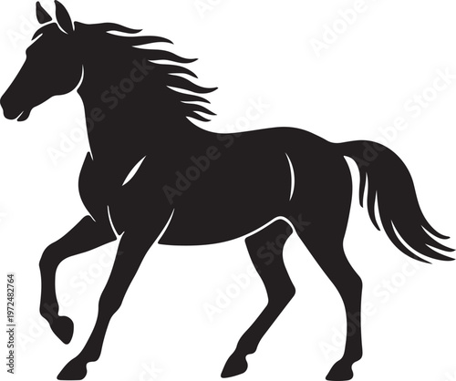 Bild auf Leinwand Marwari Horse in silhouette on white background.
