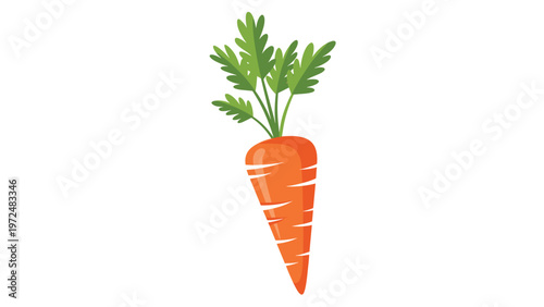 Simple and fresh cartoon illustration of a vibrant orange carrot with bright green leaves, embodying health and natural goodness in a minimalist style.