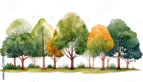 Watercolor Painting of a tree on Grass mound transparent background png 