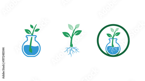 Biotechnology Concept: Plant Growth in Lab Flasks and Circle Icon