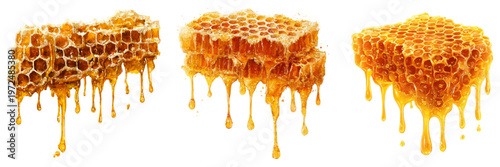 Watercolor honey set with golden honeycomb, bees, and sweet dripping syrup. Farm apiary illustration featuring hive elements and delicate droplets in warm yellow tones.