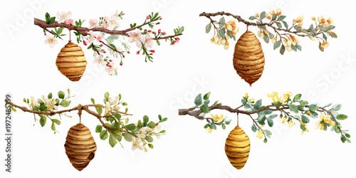 Watercolor wild bee hives on a tree branch. Wild bee house hanging on a flowering branch. Cute set inspired by nature, perfect for children's designs and decorative projects.