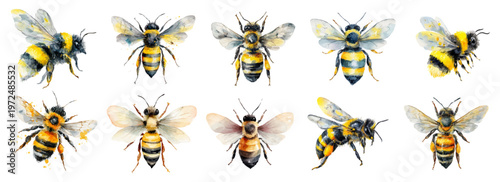 Watercolor honey bee set with bumblebees, hives, and honeycombs. Sweet insect illustrations featuring wild honeybees, nature elements, and charming bee icons in yellow tones.