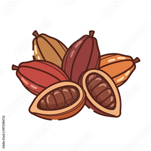 Cocoa pods with seeds inside.