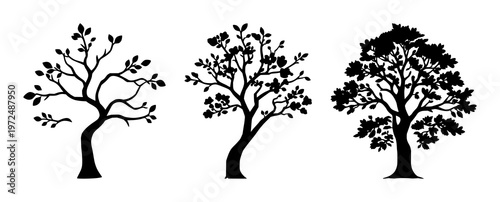 Money tree icon set with solid black icon on white background featuring passive income, finance, investment with icons and graphics