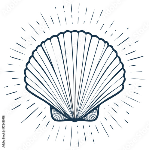 Stylized Line Art Scallop Shell with Radial Rays Illustration
