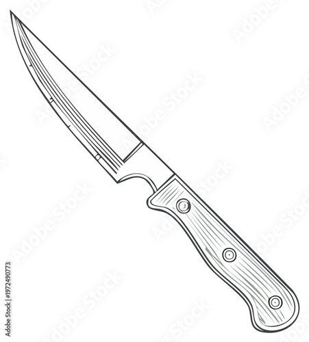 Sharp kitchen utility knife with a wooden handle and engraved blade detail