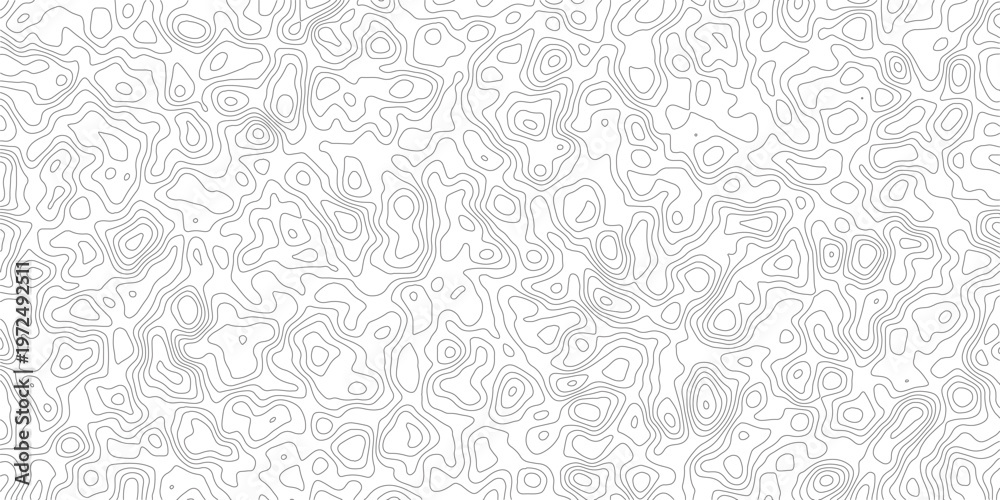 Obraz premium Topographic map contour lines pattern on white background