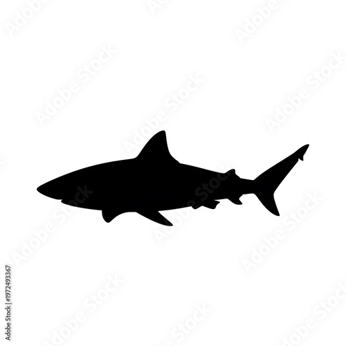 Black silhouette of a shark swimming.