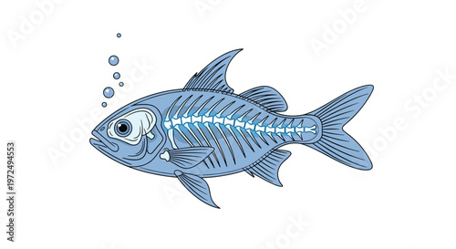Detailed anatomical illustration of a blue fish displaying its intricate internal skeletal system and vertebrae while small bubbles float upwards now.