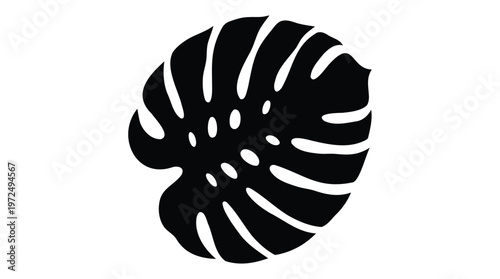 Stylized black silhouette of a large, iconic Monstera deliciosa leaf, capturing a contemporary tropical botanical aesthetic for modern design projects