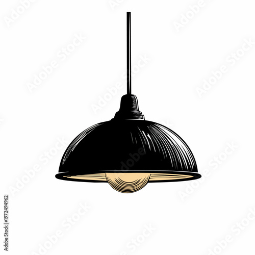 Black metal pendant light lamp shade.
