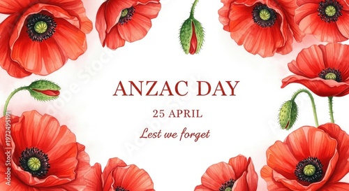 Anzac day remembrance vibrant red poppies and a message of gratitude