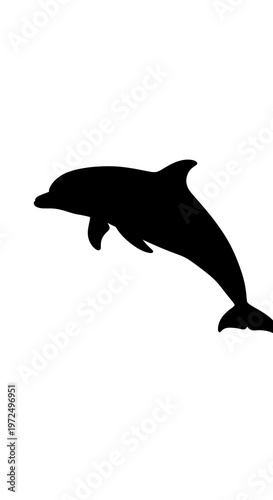 Black silhouette of a jumping dolphin.