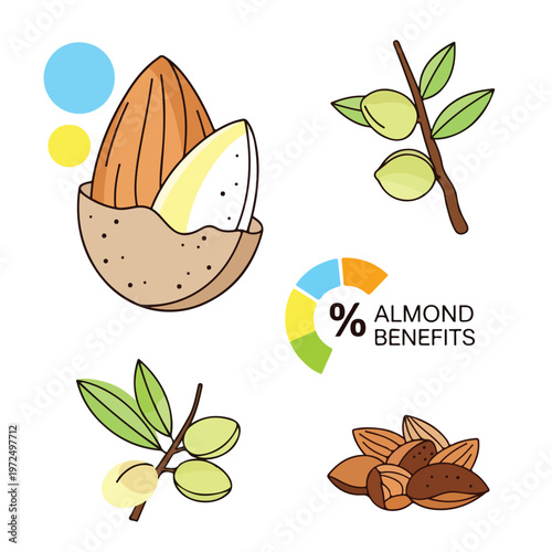 Almonds and almond tree leaves.