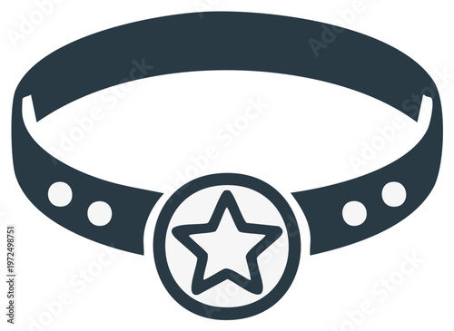 Adjustable pet collar featuring star emblem and studded details icon