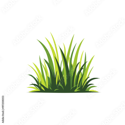 A Lush Clump of Green Grass Isolated