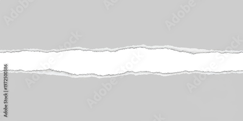 Horizontal strip of light gray paper torn across the middle revealing a bright white background with rough ragged edges and soft shadows along the ripped paper borders