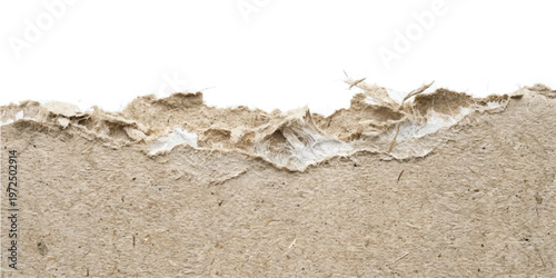 Torn edge of brown recycled cardboard paper with rough fibrous texture and white background border ripped