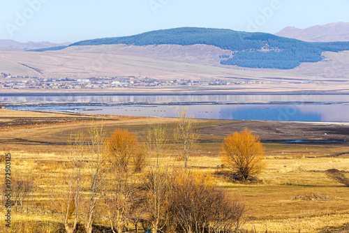Fields of faded, bright brown grass and leafless trees. Village houses on the shore of the Tsalka Reservoir. Hills, forests, and a bright blue sky in the background.