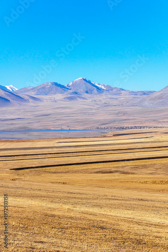 A field of faded, bright brown, yellow grass, plowed in places. Village houses on the lakeshore. Snow-capped mountains, a bright blue sky in the background. Paravani lake, Javakheti, Georgia.