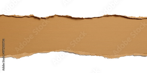 Horizontal strip of brown corrugated cardboard with rough torn edges isolated on a white background showing internal paper texture and fiber details