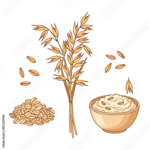 Hand drawn illustration of oat plant grains and oatmeal in a bowl.