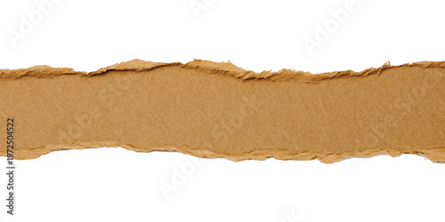 Horizontal strip of brown cardboard with jagged torn edges isolated on a white background showing fibrous texture and rough paper layers