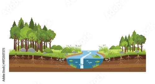 A detailed cross-section illustration reveals a vibrant forest landscape featuring tall trees with deep root systems and a blue river in a natural earth setting.