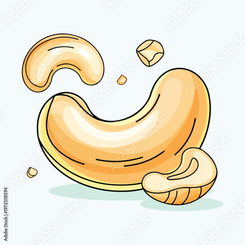 Hand drawn illustration of tasty cashew nuts.