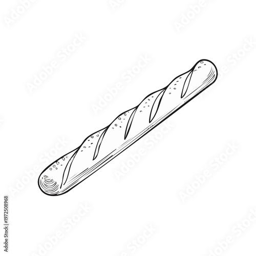 Line Art Drawing of a Rustic French Baguette Bread