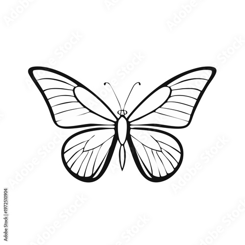 Stylized line art drawing of a classic butterfly with open wings and detailed veins