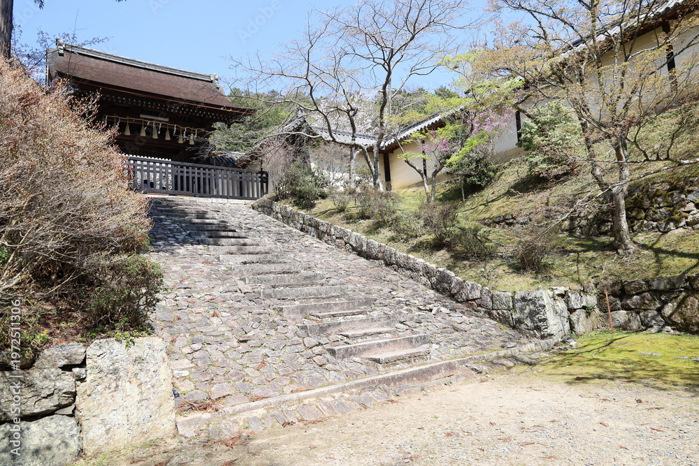 Naklejka premium A Japanese temple: a scene of the access to Bishamon-do Temple at Yamashina Ward in Kyoto City in Japan