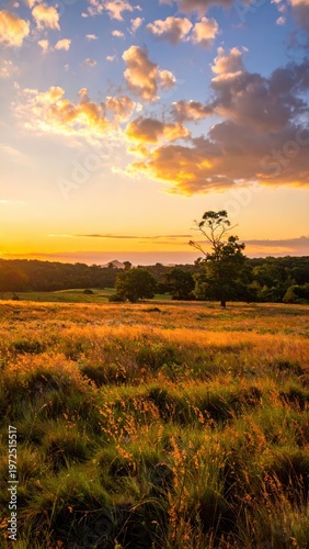 Serene Sunset Over Rolling Hills and Golden Meadow Landscape