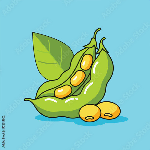 Fresh Green Soybeans and Pod.