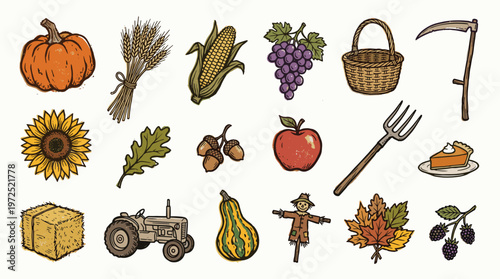 Harvest season illustration with pumpkin corn grapes apple pie tractor scarecrow and autumn leaves celebrating fall bounty and farm life