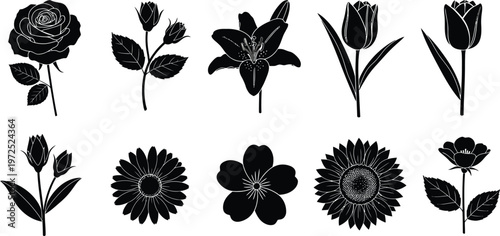 Collection of black silhouette flowers and buds on white background rose